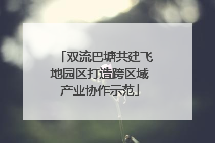 双流巴塘共建飞地园区打造跨区域产业协作示范