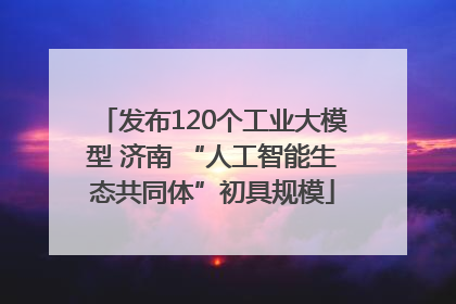 发布120个工业大模型 济南 “人工智能生态共同体”初具规模