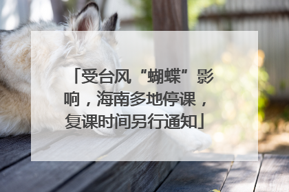 受台风“蝴蝶”影响，海南多地停课，复课时间另行通知