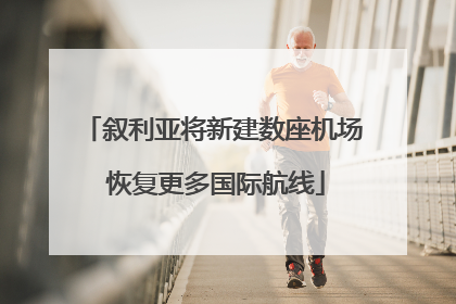 叙利亚将新建数座机场 恢复更多国际航线