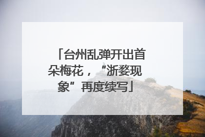 台州乱弹开出首朵梅花，“浙婺现象”再度续写