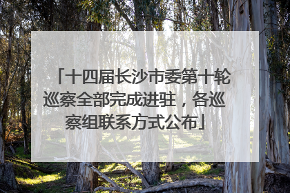 十四届长沙市委第十轮巡察全部完成进驻，各巡察组联系方式公布