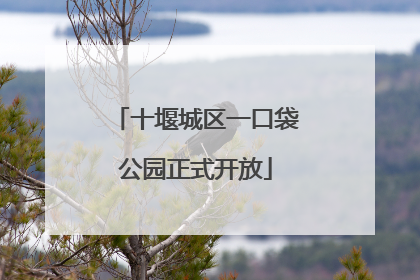 十堰城区一口袋公园正式开放