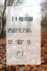 十堰市郧西县全力抗旱“稳”生产