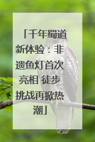 千年蜀道新体验：非遗鱼灯首次亮相 徒步挑战再掀热潮