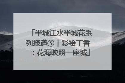 半城江水半城花系列报道⑤｜彩绘丁香：花海映照一座城