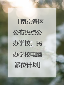 南京各区公布热点公办学校、民办学校电脑派位计划