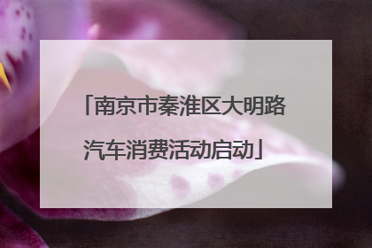 南京市秦淮区大明路汽车消费活动启动