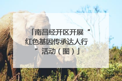 南昌经开区开展“红色基因传承达人行”活动（图）