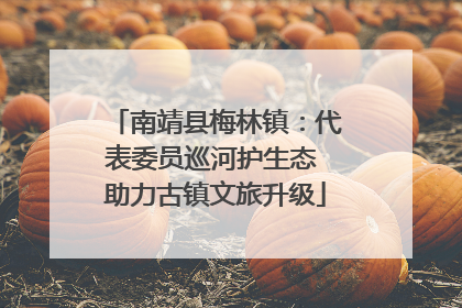 南靖县梅林镇：代表委员巡河护生态 助力古镇文旅升级