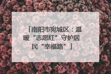 南阳市宛城区：温暖“志愿红”守护居民“幸福路”