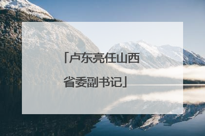 卢东亮任山西省委副书记