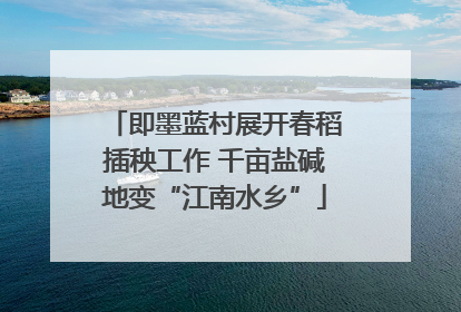 即墨蓝村展开春稻插秧工作 千亩盐碱地变“江南水乡”