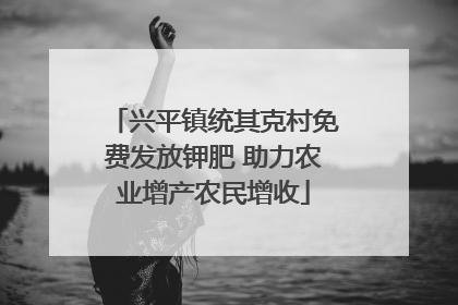兴平镇统其克村免费发放钾肥 助力农业增产农民增收