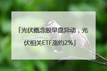 光伏概念股早盘异动，光伏相关ETF涨约2%