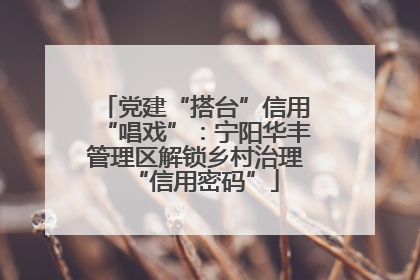 党建“搭台”信用“唱戏”：宁阳华丰管理区解锁乡村治理“信用密码”