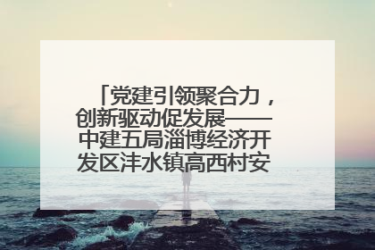 党建引领聚合力，创新驱动促发展——中建五局淄博经济开发区沣水镇高西村安置项目建设纪实