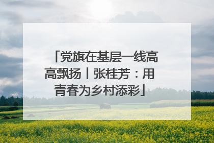 党旗在基层一线高高飘扬丨张桂芳：用青春为乡村添彩
