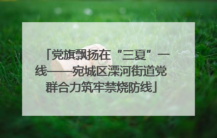 党旗飘扬在“三夏”一线——宛城区溧河街道党群合力筑牢禁烧防线