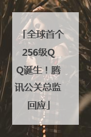 全球首个256级QQ诞生！腾讯公关总监回应