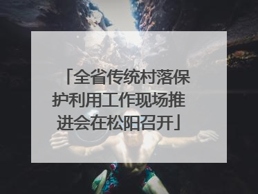 全省传统村落保护利用工作现场推进会在松阳召开