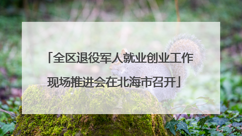 全区退役军人就业创业工作现场推进会在北海市召开