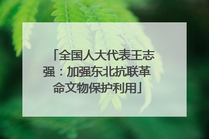 全国人大代表王志强：加强东北抗联革命文物保护利用