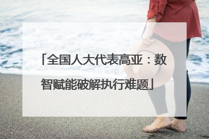 全国人大代表高亚：数智赋能破解执行难题
