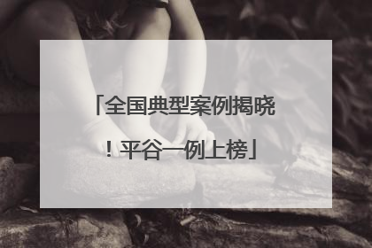 全国典型案例揭晓！平谷一例上榜