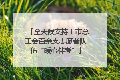 全天候支持！市总工会百余支志愿者队伍“暖心伴考”