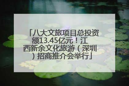 八大文旅项目总投资额13.45亿元！江西新余文化旅游（深圳）招商推介会举行