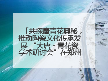 共探唐青花奥秘，推动陶瓷文化传承发展 “大唐・青花瓷学术研讨会”在郑州圆满举行