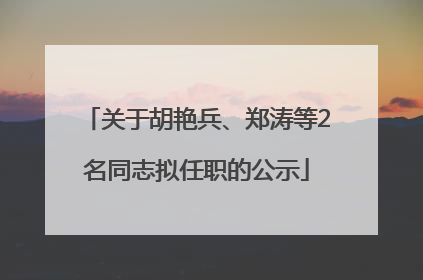 关于胡艳兵、郑涛等2名同志拟任职的公示