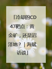 冷却的CD47靶点：黄金矿，还是沼泽地？｜海斌访谈