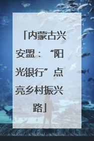 内蒙古兴安盟：“阳光银行”点亮乡村振兴路