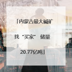 内蒙古最大碱矿找“买家” 储量20.77亿吨