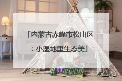 内蒙古赤峰市松山区：小湿地里生态美