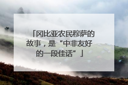 冈比亚农民穆萨的故事，是“中非友好的一段佳话”