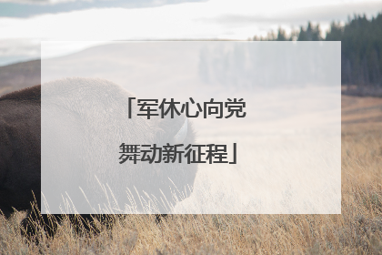 军休心向党 舞动新征程