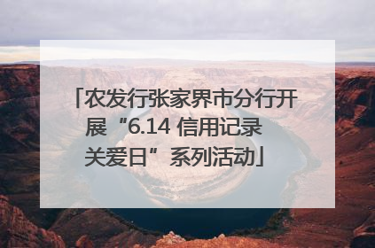 农发行张家界市分行开展“6.14 信用记录关爱日”系列活动