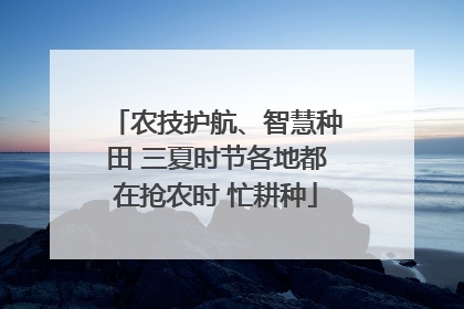 农技护航、智慧种田 三夏时节各地都在抢农时 忙耕种