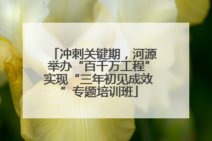 冲刺关键期，河源举办“百千万工程”实现“三年初见成效”专题培训班