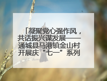 凝聚党心强作风，共话振兴谋发展——通城县马港镇金山村开展庆“七一”系列庆祝活动