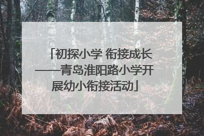 初探小学 衔接成长——青岛淮阳路小学开展幼小衔接活动