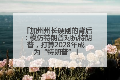 加州州长硬刚的背后：模仿特朗普对抗特朗普，打算2028年成为“特朗普”