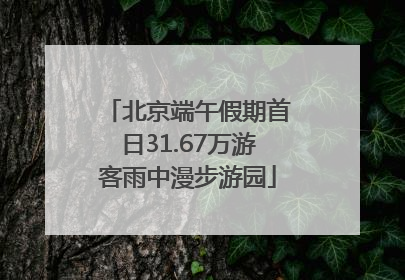 北京端午假期首日31.67万游客雨中漫步游园