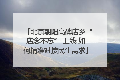 北京朝阳高碑店乡“店念不忘” 上线 如何精准对接民生需求