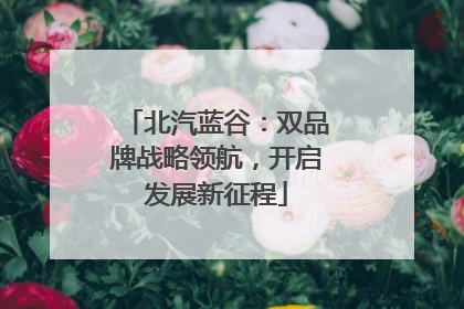 北汽蓝谷：双品牌战略领航，开启发展新征程