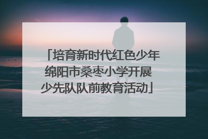 培育新时代红色少年 绵阳市桑枣小学开展少先队队前教育活动