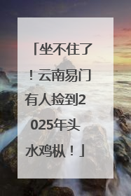 坐不住了！云南易门有人捡到2025年头水鸡枞！